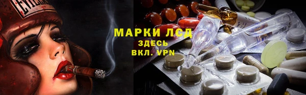 стаф Верея