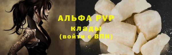 стаф Верея