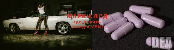 стаф Верея