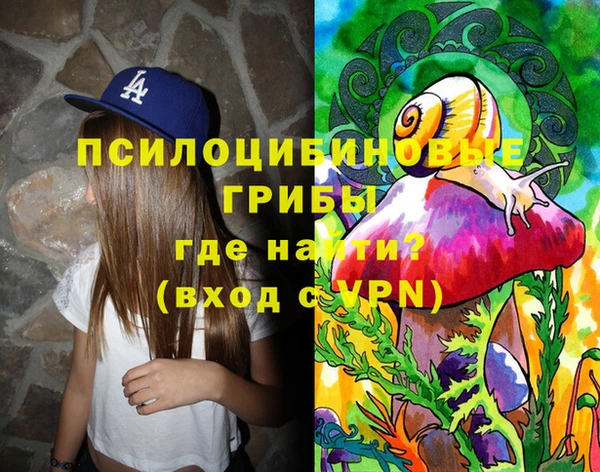 стаф Верея