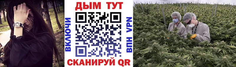 Марихуана OG Kush Берёзовский